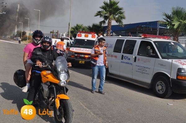 fireludkartoonmasna34 (32).JPG